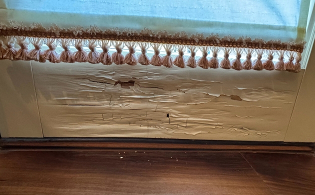 High-end door - before restoration